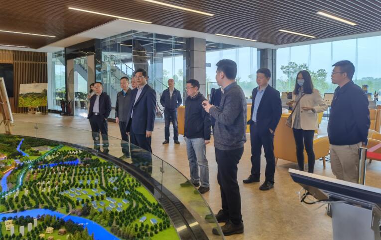 广西旅发集团党委书记、董事长容贤标考察集团文旅项目