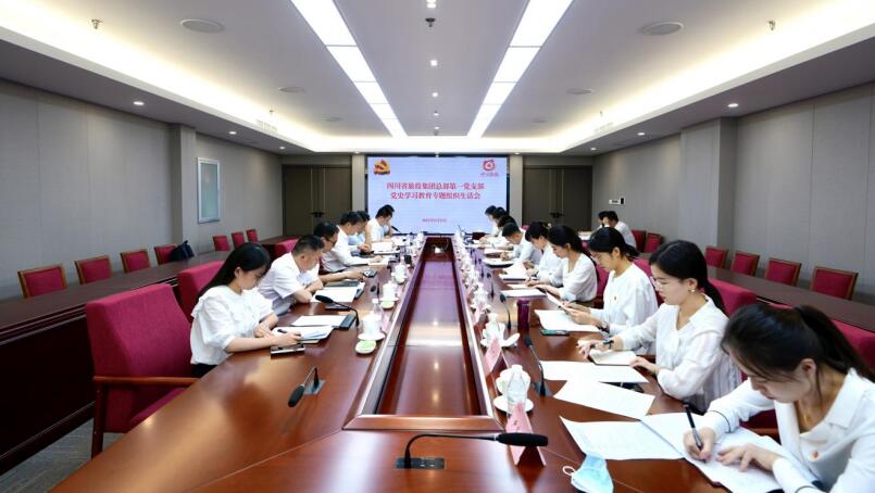 尊龙凯时集团党委书记、董事长任丁参加总部第一党支部党史学习教育专题组织生活会